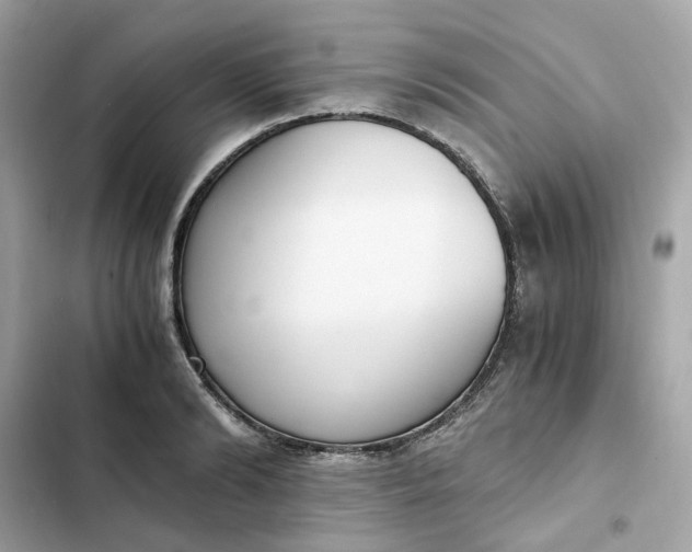 X0000102370894200808151832