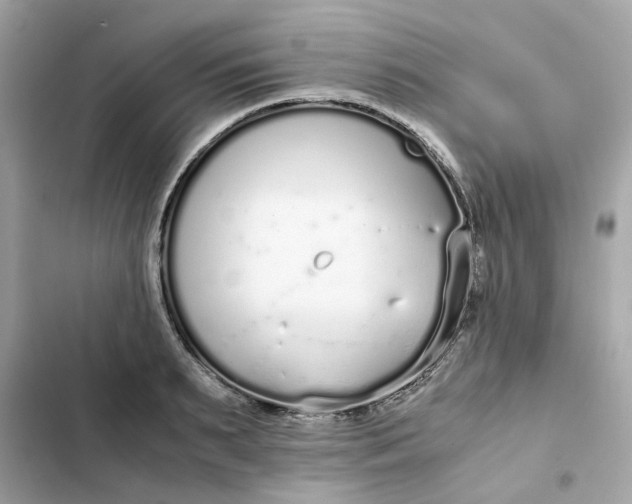 X0000102370895200808151832