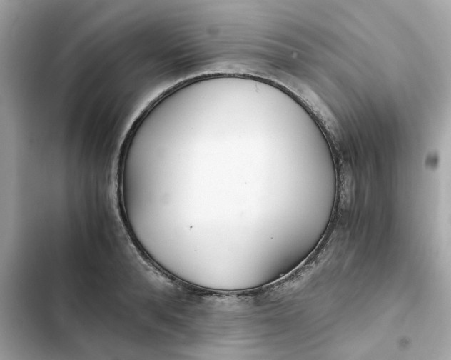 X0000102370896200808151832