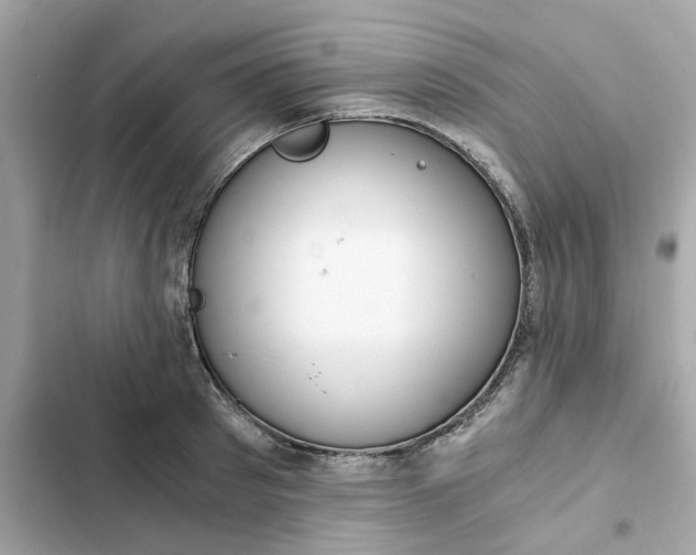 X0000102370897200808151832