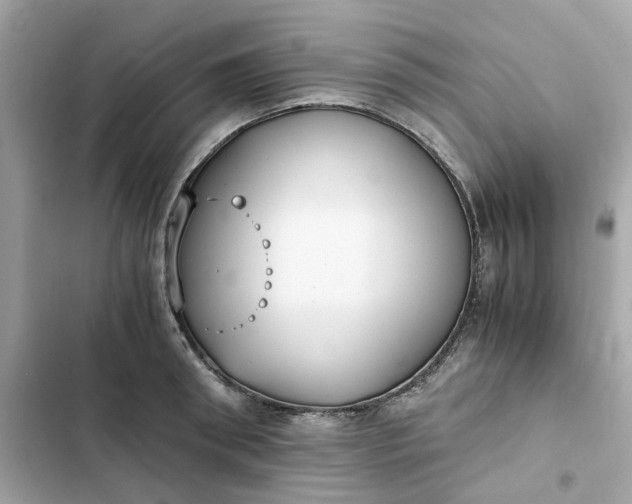 X0000102370898200808151832