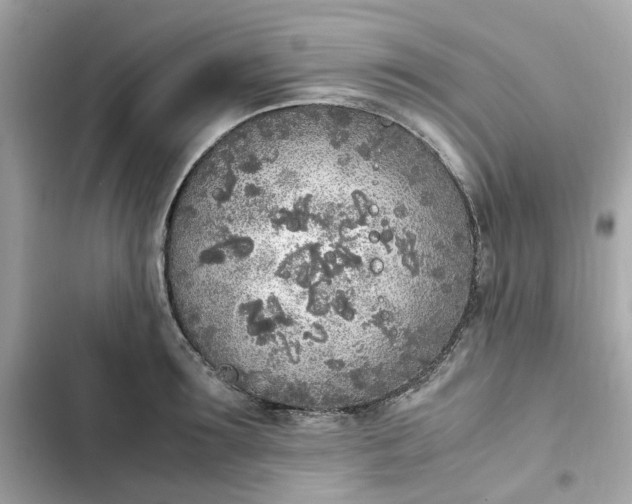 X0000102370899200808151832