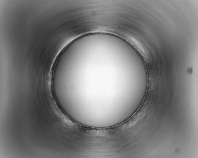 X0000102370900200808151832