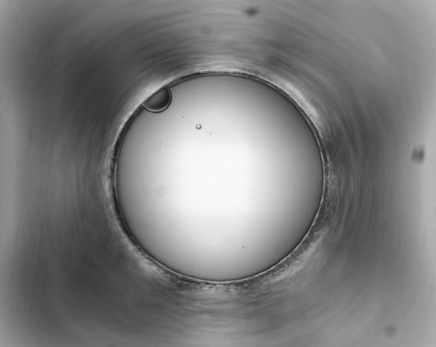 X0000102370901200808151832