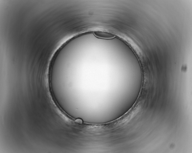 X0000102370902200808151832