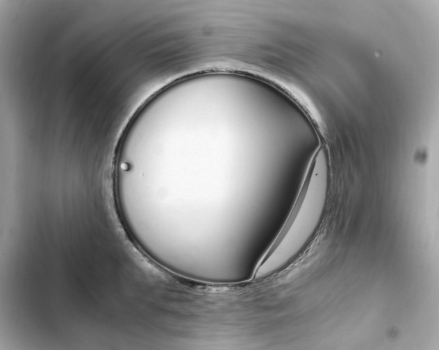 X0000102370903200808151832