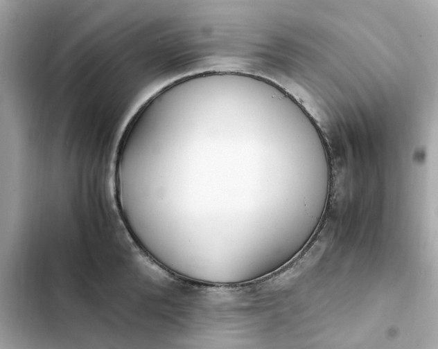 X0000102370904200808151832