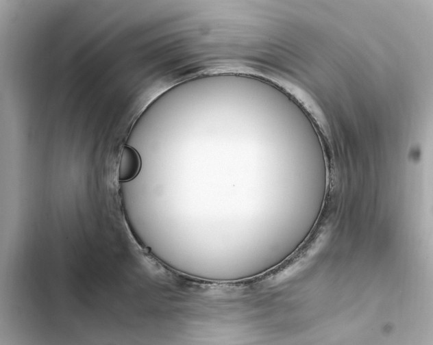 X0000102370905200808151832