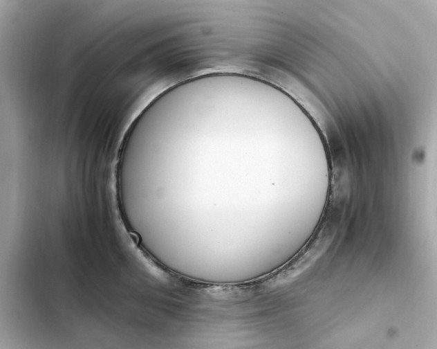 X0000102370906200808151832