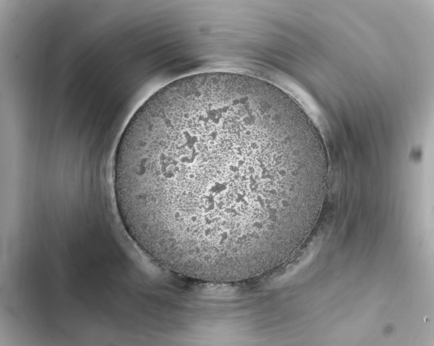 X0000102370907200808151832