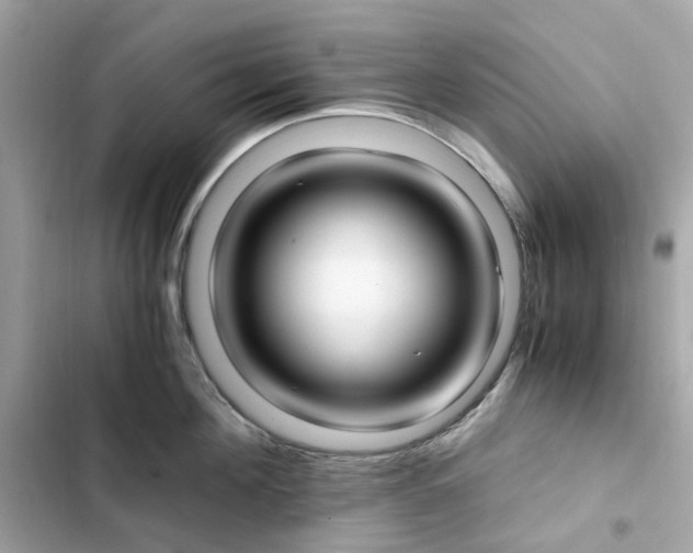 X0000102370908200808151832