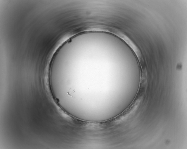 X0000102370909200808151832