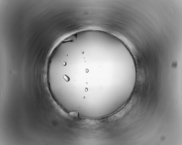 X0000102370910200808151832