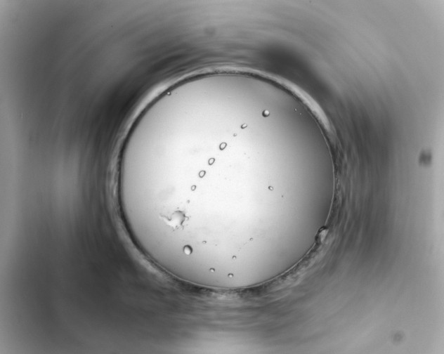 X0000102370911200808151832