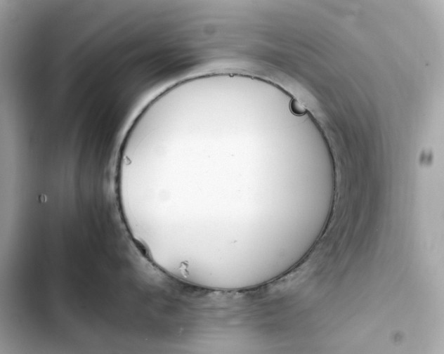 X0000102370912200808151832