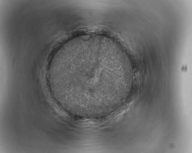 X0000102370913200808151831