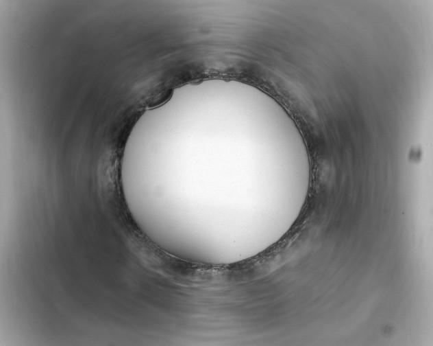 X0000102370914200808151831