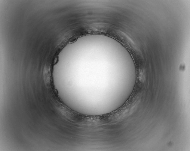 X0000102370915200808151831