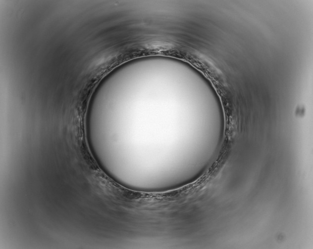 X0000102370917200808151831