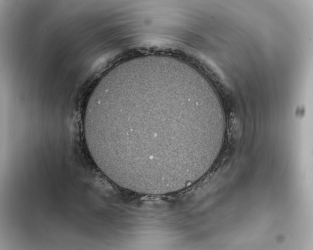 X0000102370918200808151831