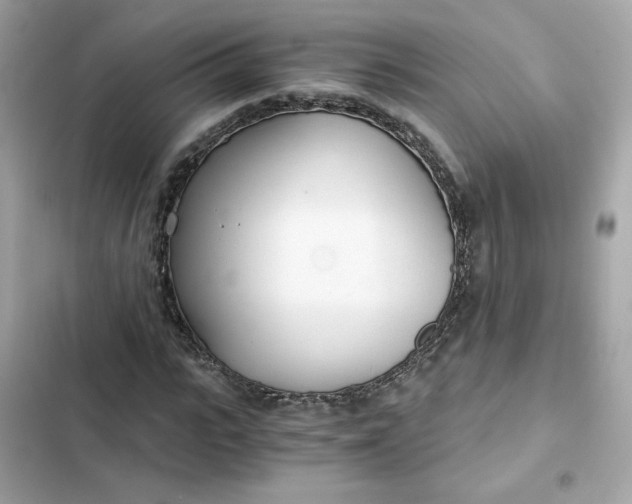 X0000102370919200808151831