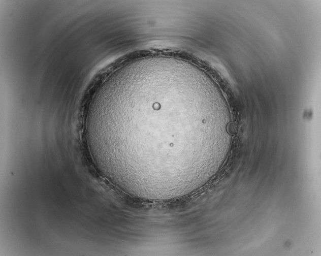 X0000102370920200808151831