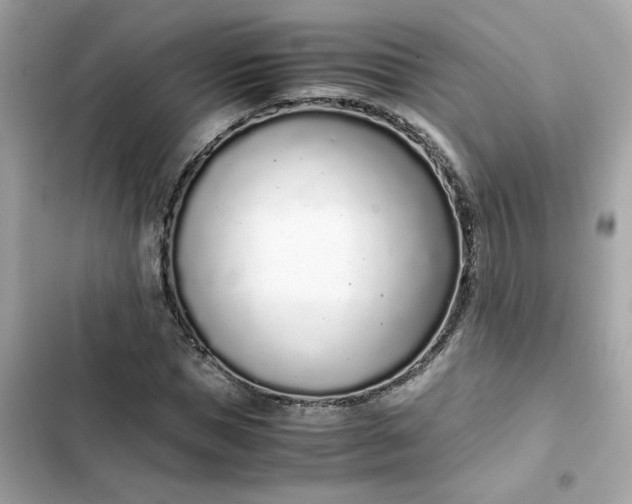 X0000102370921200808151831