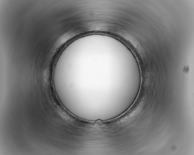 X0000102370922200808151831