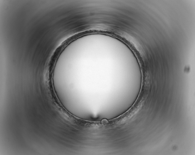 X0000102370923200808151831