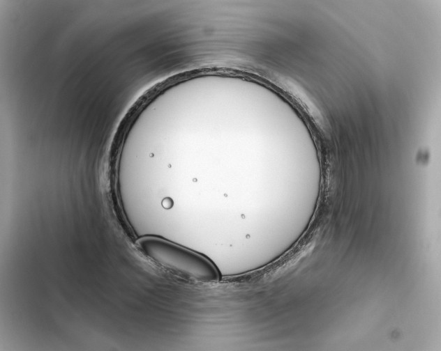 X0000102370924200808151831