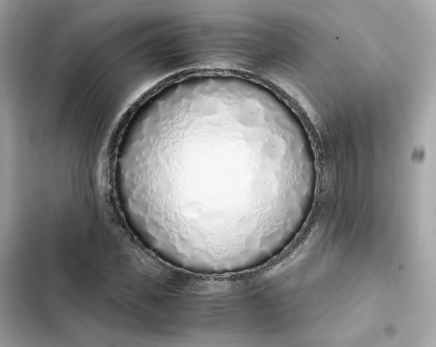 X0000102370925200808151831