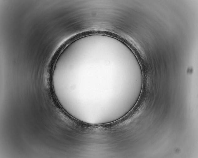 X0000102370926200808151831