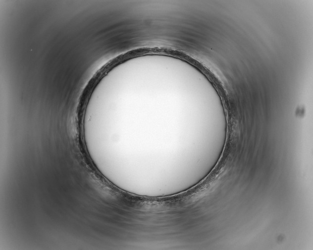 X0000102370927200808151831