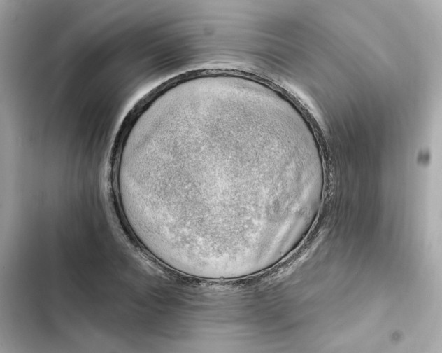 X0000102370928200808151831