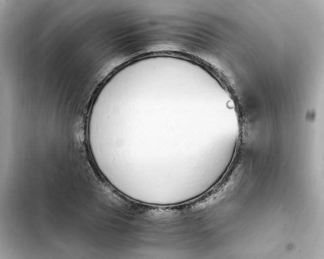 X0000102370929200808151831