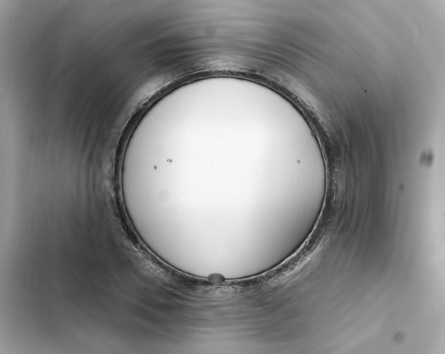 X0000102370930200808151831