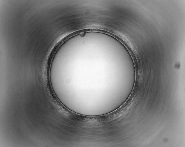 X0000102370931200808151831