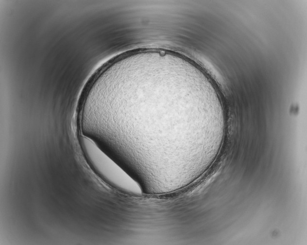 X0000102370932200808151831