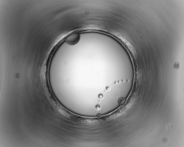 X0000102370933200808151831