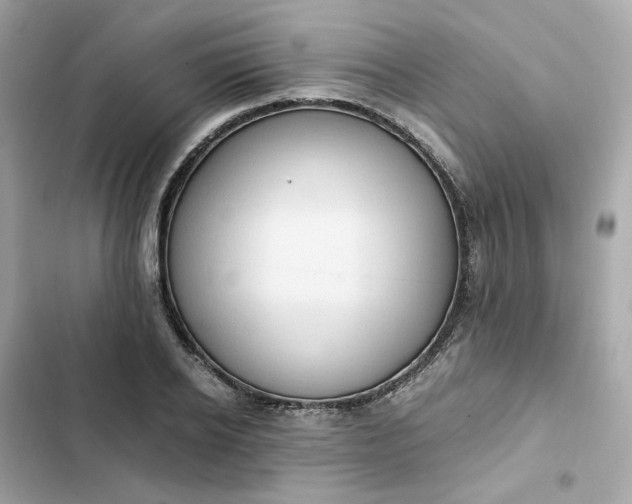 X0000102370934200808151832