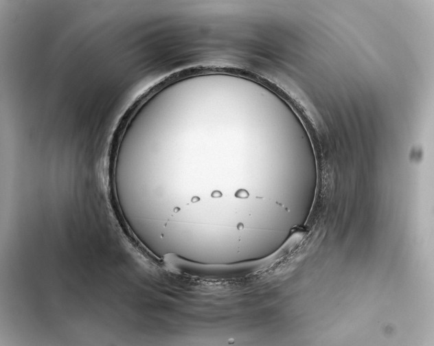 X0000102370935200808151832