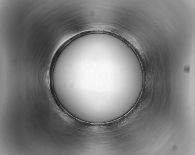 X0000102370936200808151832