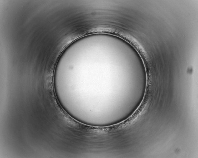 X0000102370937200808151832