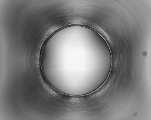 X0000102370938200808151832