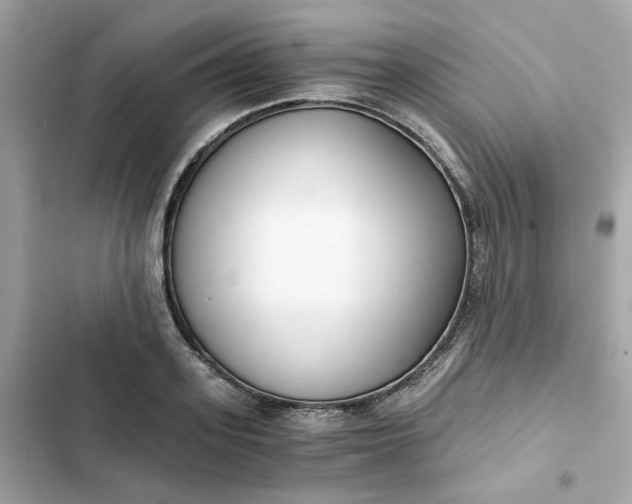 X0000102370939200808151832