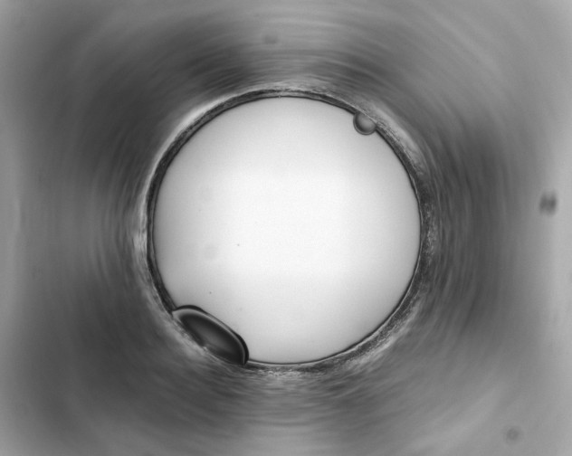 X0000102370940200808151832