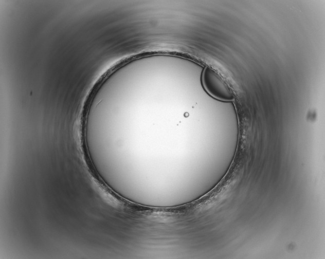 X0000102370942200808151832