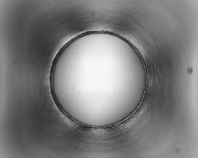 X0000102370943200808151832