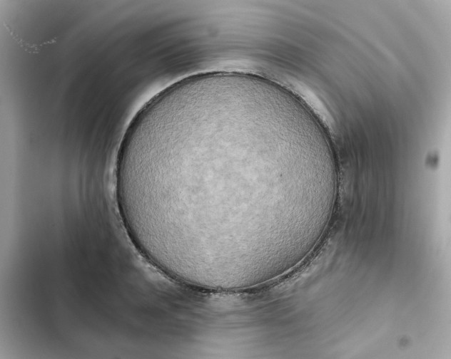 X0000102370944200808151832