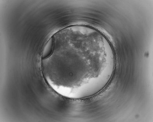 X0000102370945200808151832